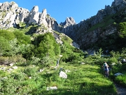 IN GRIGNETTA LUNGO IL CANALONE PORTA 22 giugno 2012 - FOTOGALLERY